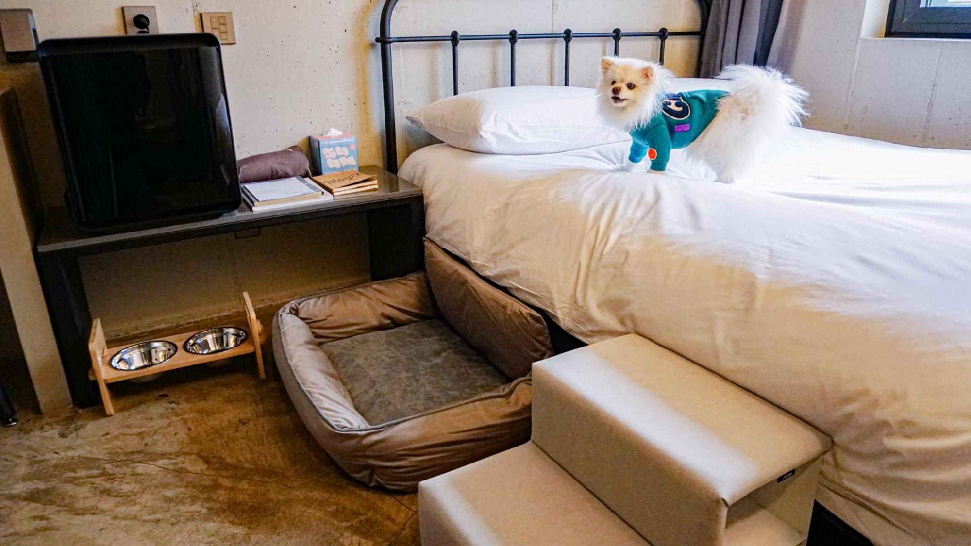Playce Camp Jeju Hotel Oso-ri Kültér fotó